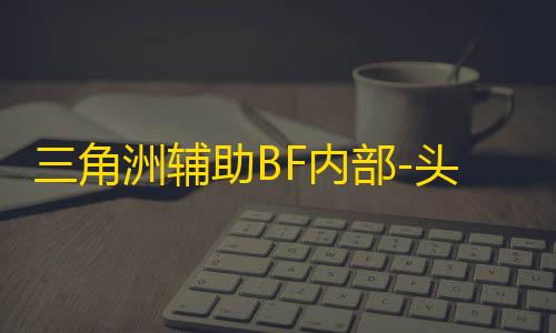 三角洲辅助BF内部-头饰自瞄-物资显示-多功能效果图